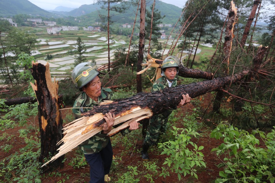 曹家镇人口_新化县曹家镇