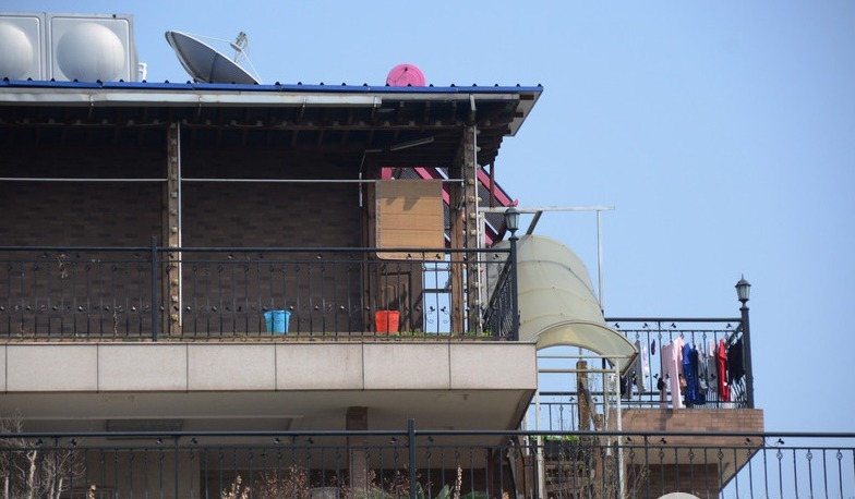 楼阁上有树枝看图猜成语