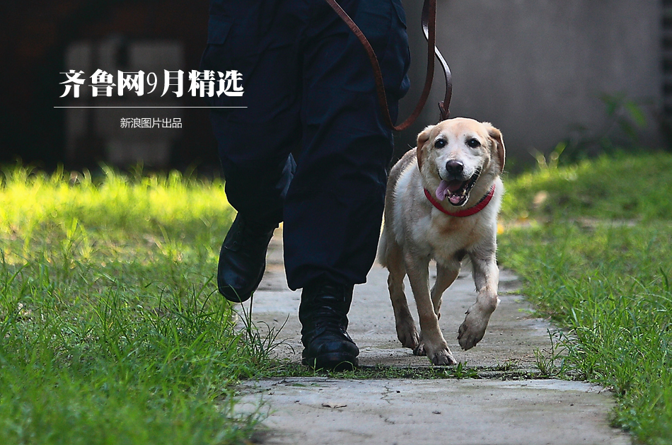 超级大满贯2单机版
