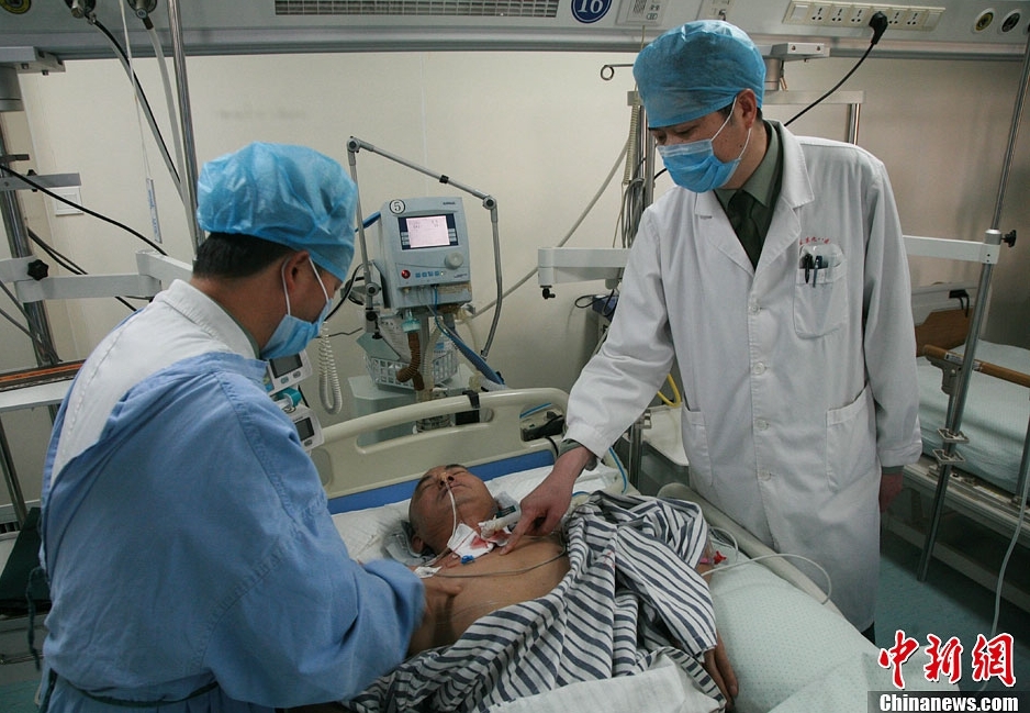 水晶鲍+维多利亚科鲁兹