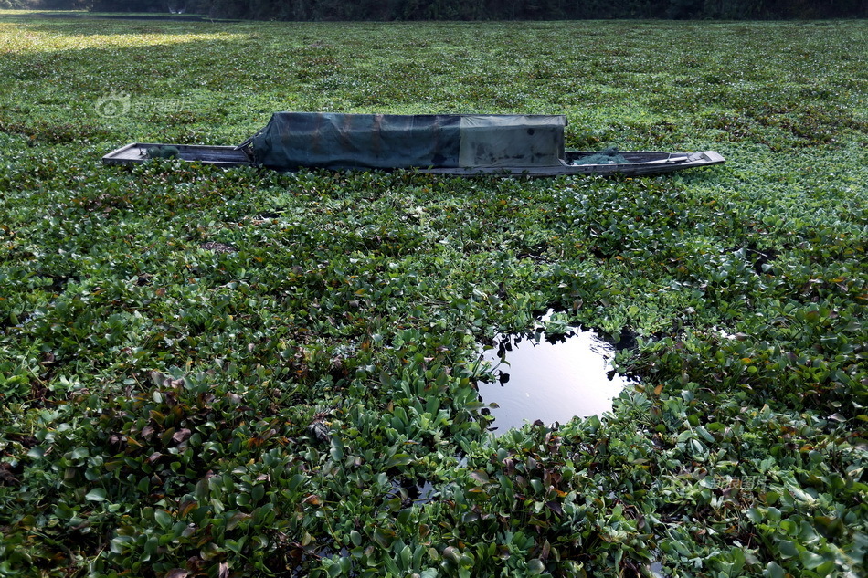 贵阳日报传媒集团11月视觉精选 - 新闻中心 - 佛