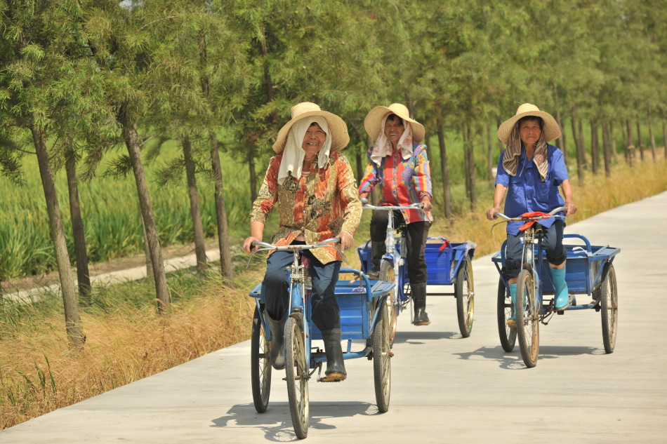 下地干活_下地干活搞笑图片_下地干活动态图片大全