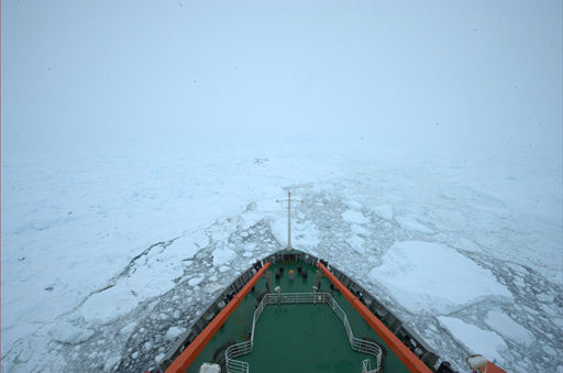 法布雷加斯转会