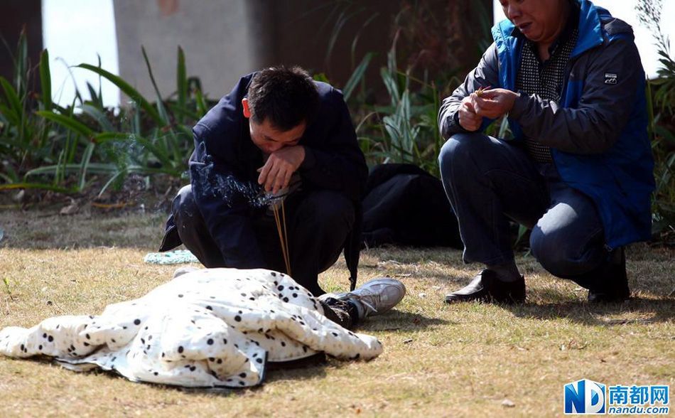 艾琳安德鲁斯-乐鱼app(leyu)官方网站-乐鱼官网