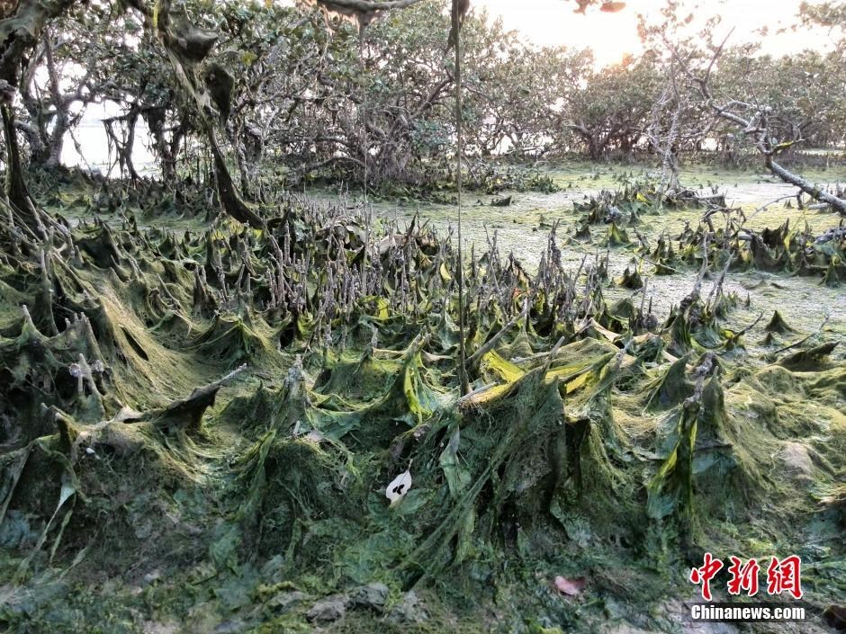 弗赖堡 拜仁慕尼黑-乐鱼app(leyu)官方网站-乐鱼官网