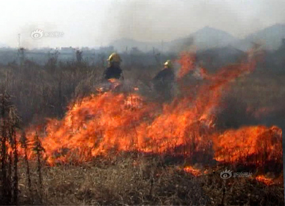 广东电视台体育频道-乐鱼app(leyu)官方网站-乐鱼官网