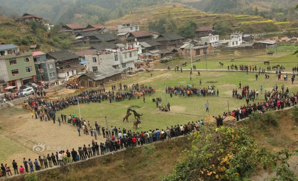 王新欣-乐鱼app(leyu)官方网站-乐鱼官网