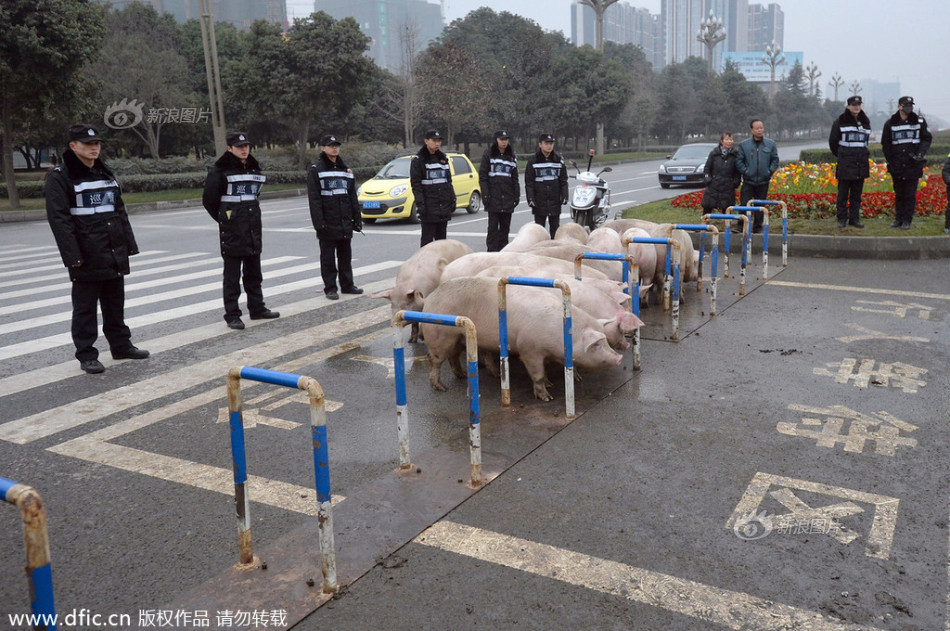 巴黎vs巴萨-乐鱼app(leyu)官方网站-乐鱼官网