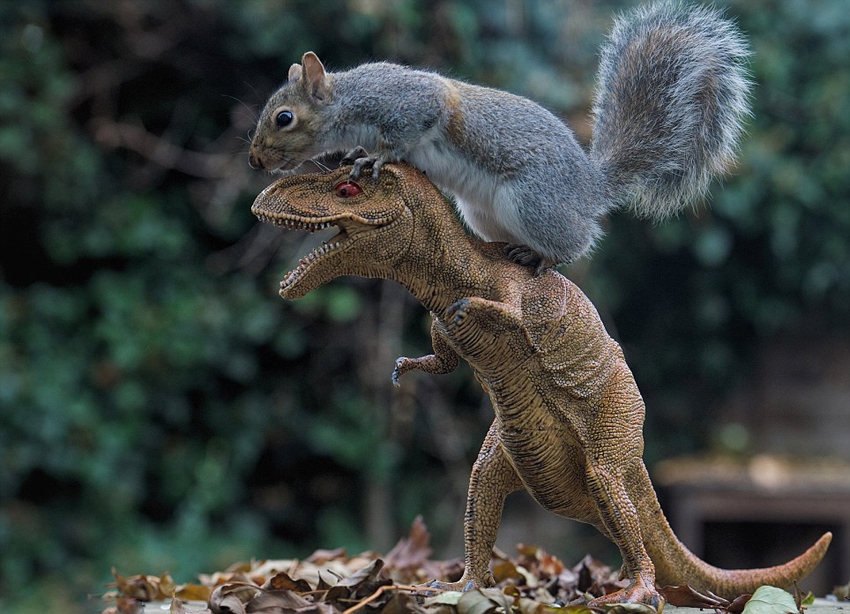 巴西教练-乐鱼app(leyu)官方网站-乐鱼官网