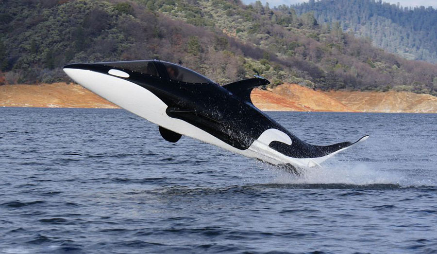 新浪国际足球直播-乐鱼app(leyu)官方网站-乐鱼官网