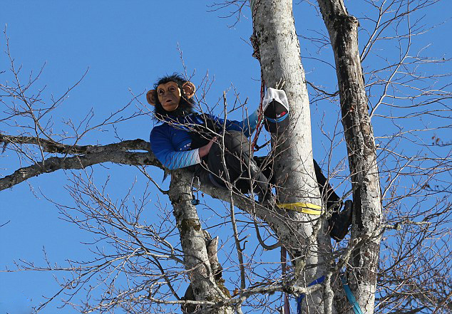 雷科巴-乐鱼app(leyu)官方网站-乐鱼官网