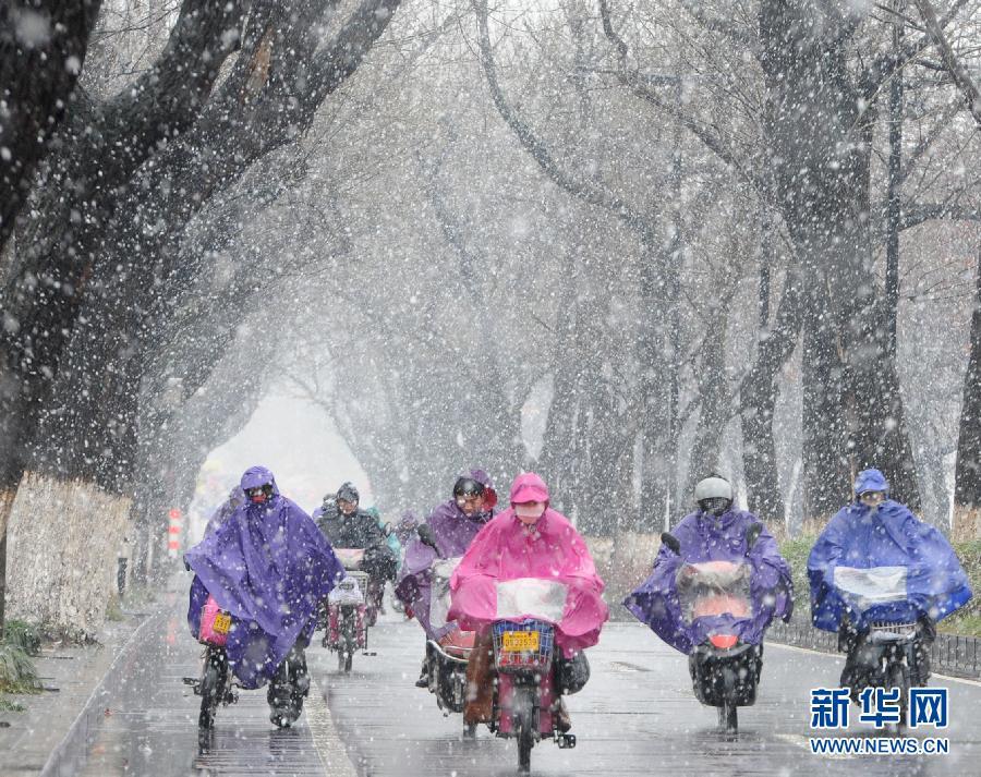 南方多地雨雪纷飞