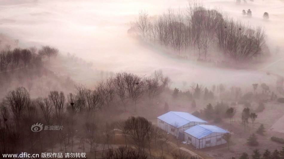 盖德·穆勒-乐鱼app(leyu)官方网站-乐鱼官网