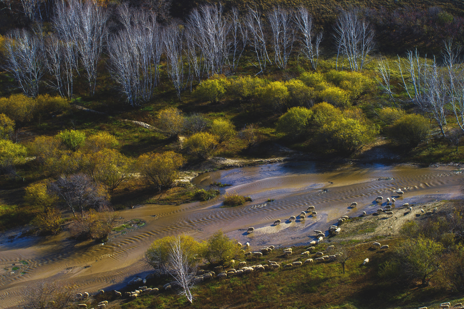 2013年内蒙古赤峰宁城中考成绩何时能查询?谢