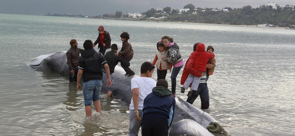 阿根廷国家队球衣-爱游戏App官方下载入口-爱游戏