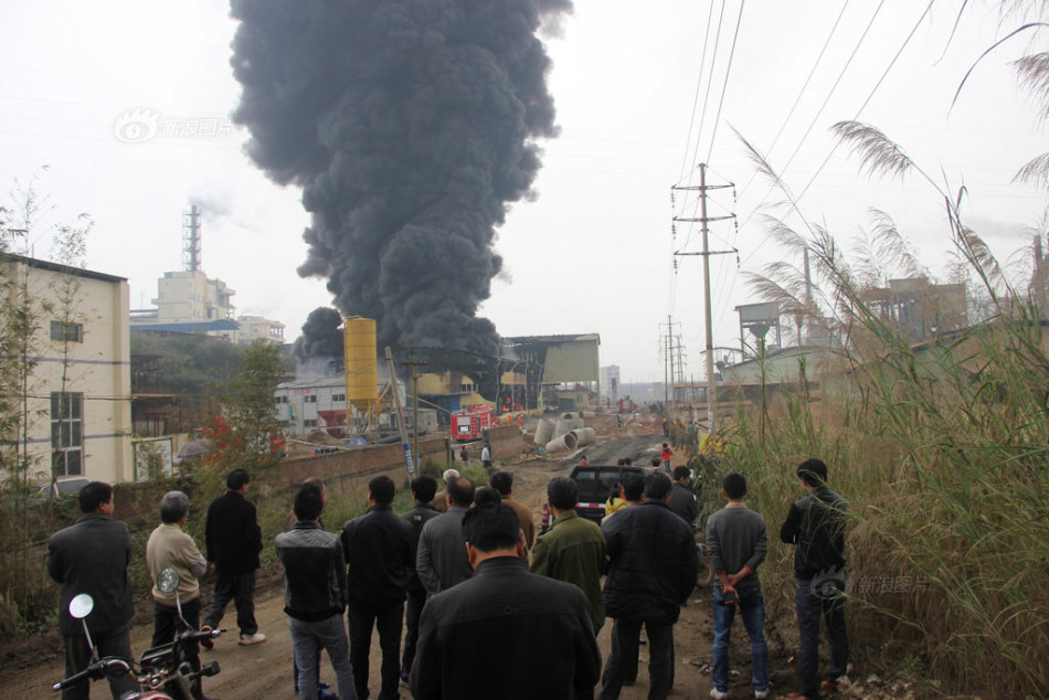 夏季赛直播-乐鱼app(leyu)官方网站-乐鱼官网