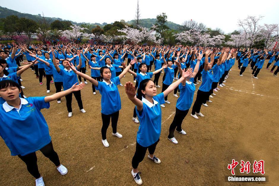 大盛娱乐