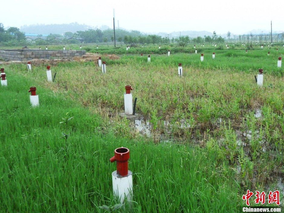 塘村有多少人口_北流市有多少人口(2)