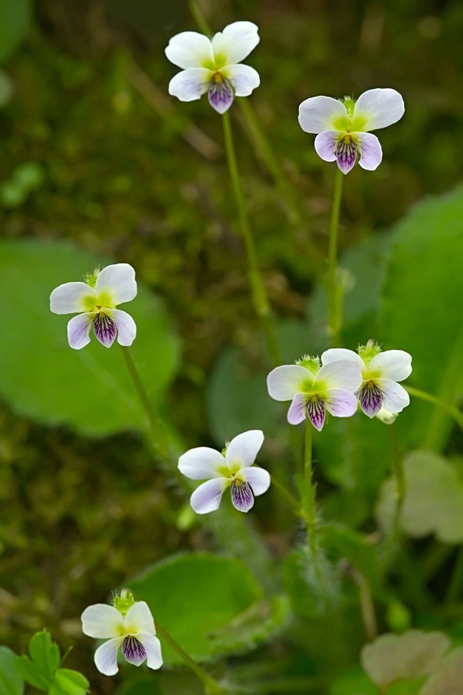 53963_409645_171147.jpg