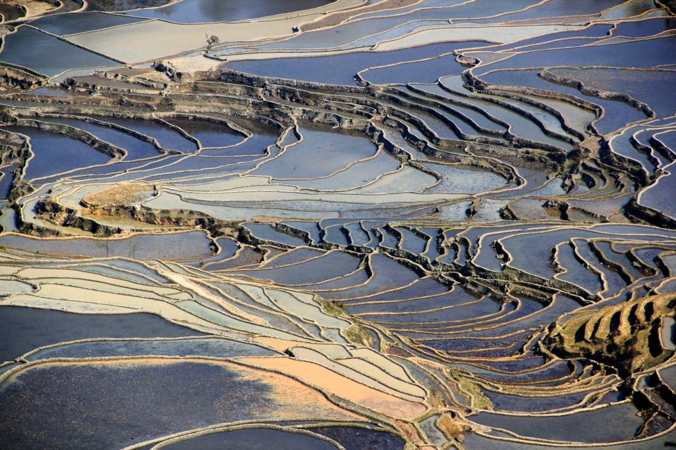 哈尼梯田 （3）