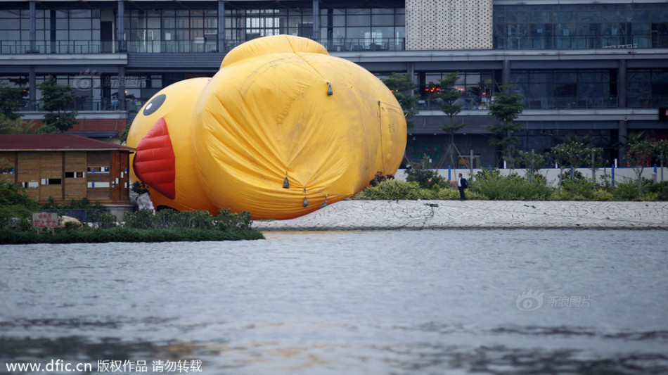 巴萨2012阵容-乐鱼APP下载-乐鱼体育app-乐鱼体育官网网站|乐鱼体育