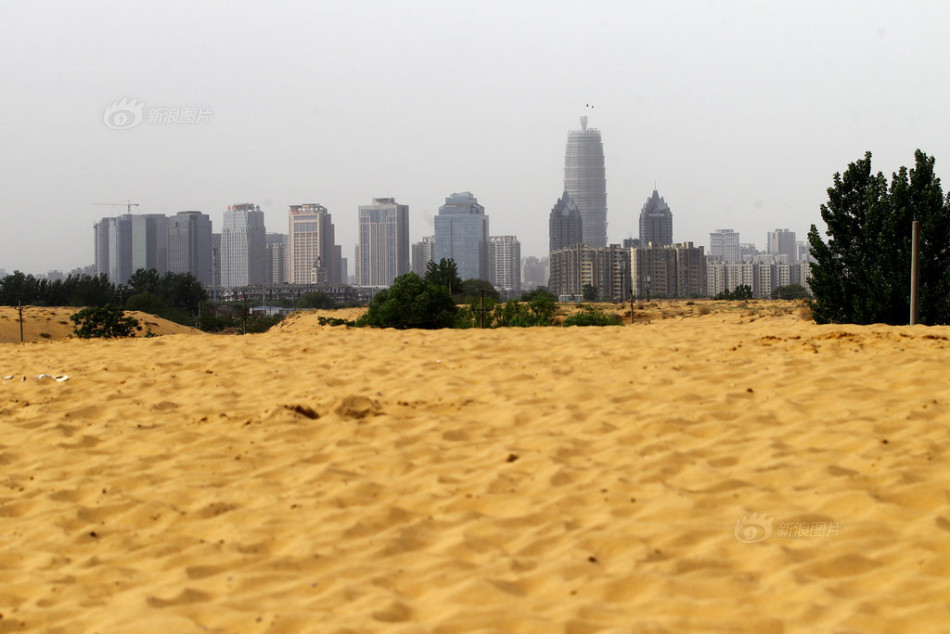 高傲的公鸡-乐鱼app(leyu)官方网站-乐鱼官网