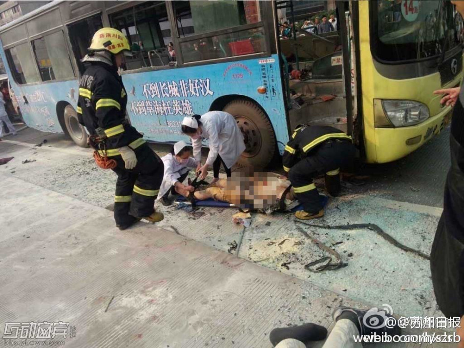 同花娱乐老版本