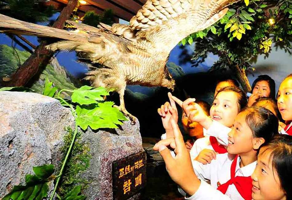 朝鲜青少年入住国际夏令营 -- 佛山E家|佛山信息网|顺德信息网|第一综合信息门户网-FSEHOME.COM