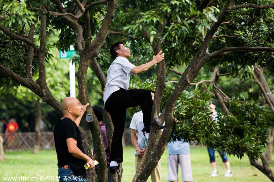 掌握亚洲杯-乐鱼app(leyu)官方网站-乐鱼官网