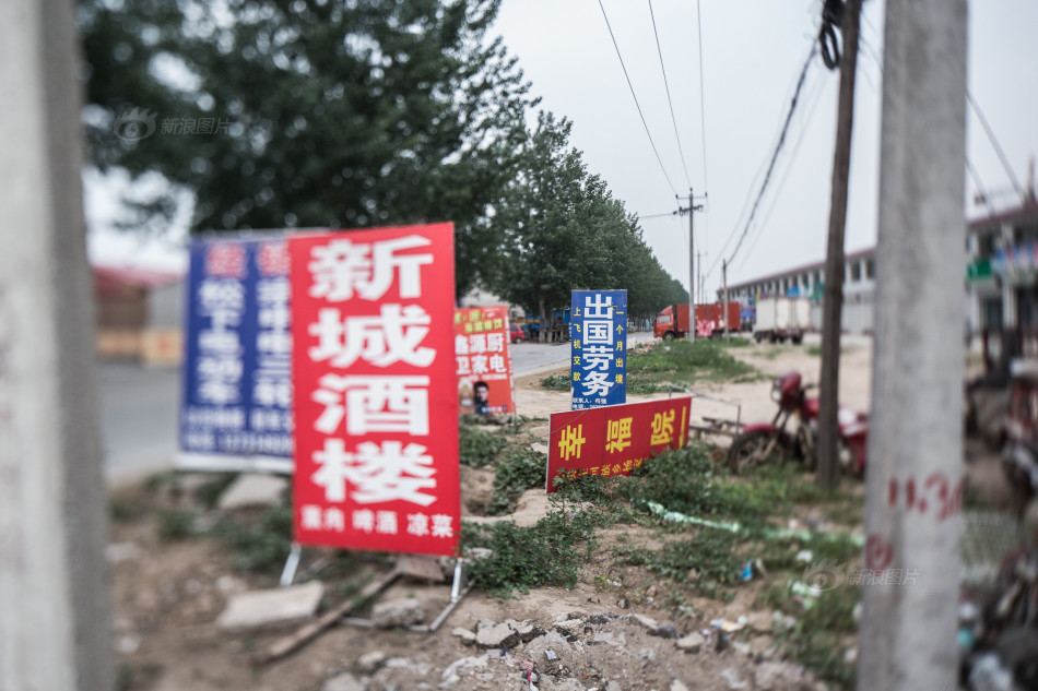 一亩地能八棵巨峰葡萄_农村一亩地一年收入