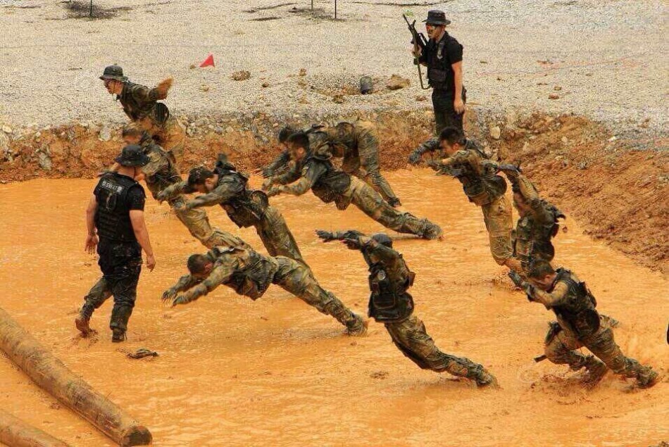 江苏体育频道直播-乐鱼app(leyu)官方网站-乐鱼官网