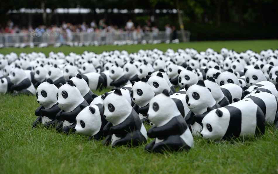 鳄鱼队-乐鱼app(leyu)官方网站-乐鱼官网