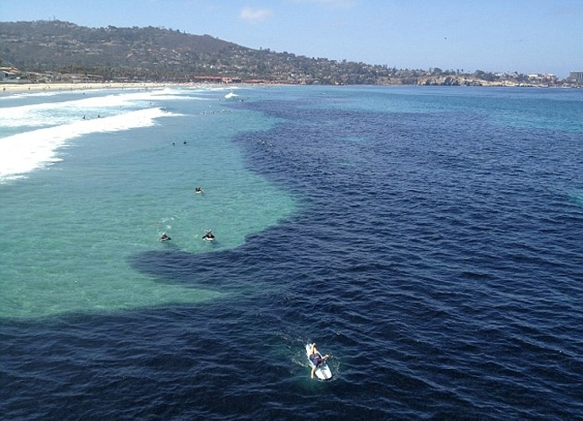 fifa14妖人-万博体育(官网)官方网站-万博体育app官网下载-ManBetX