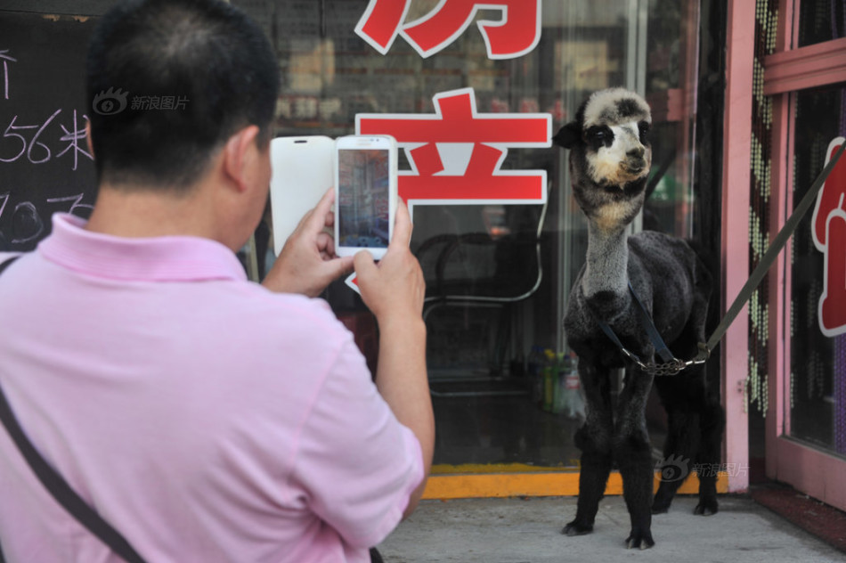 阿夸弗雷斯卡-乐鱼app(leyu)官方网站-乐鱼官网