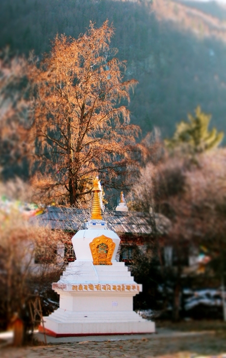 禅意娑婆风景主题作品