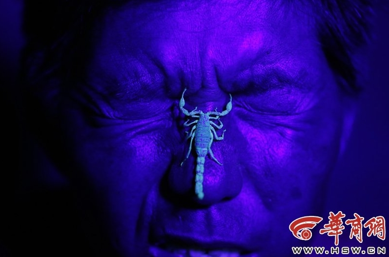 巴西杯-乐鱼app(leyu)官方网站-乐鱼官网