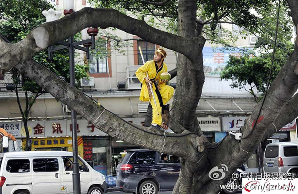 经典悬疑电影-乐鱼app(leyu)官方网站-乐鱼官网