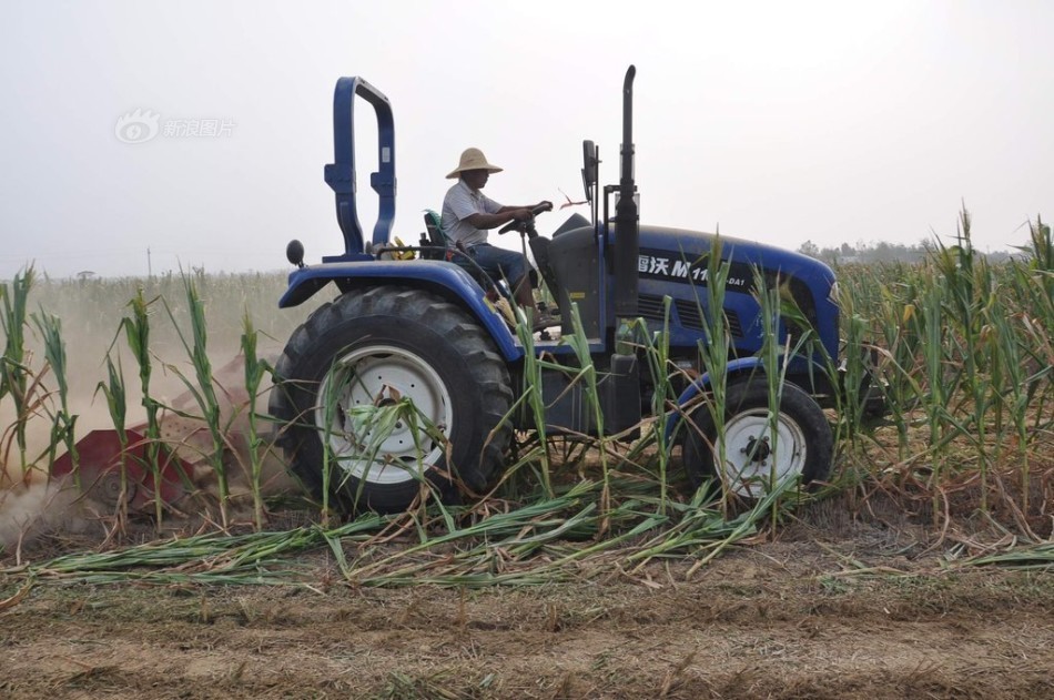 fellaini-乐鱼app(leyu)官方网站-乐鱼官网
