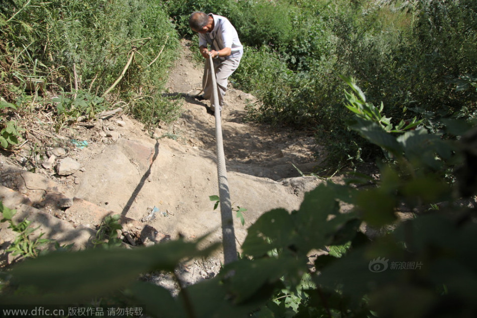 中超新赛季-乐鱼app(leyu)官方网站-乐鱼官网