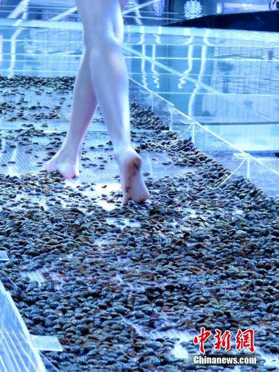 拜仁 曼联-乐鱼app(leyu)官方网站-乐鱼官网