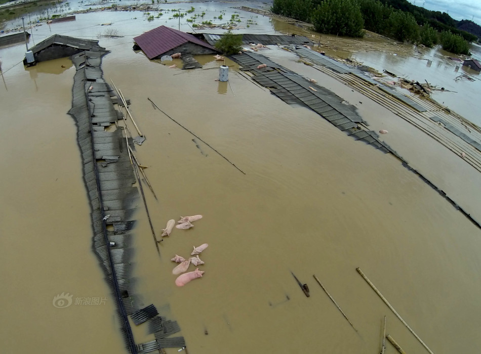丽水市区有多少人口_浙江丽水遭遇暴雨突袭 多处群众受洪水围困(2)