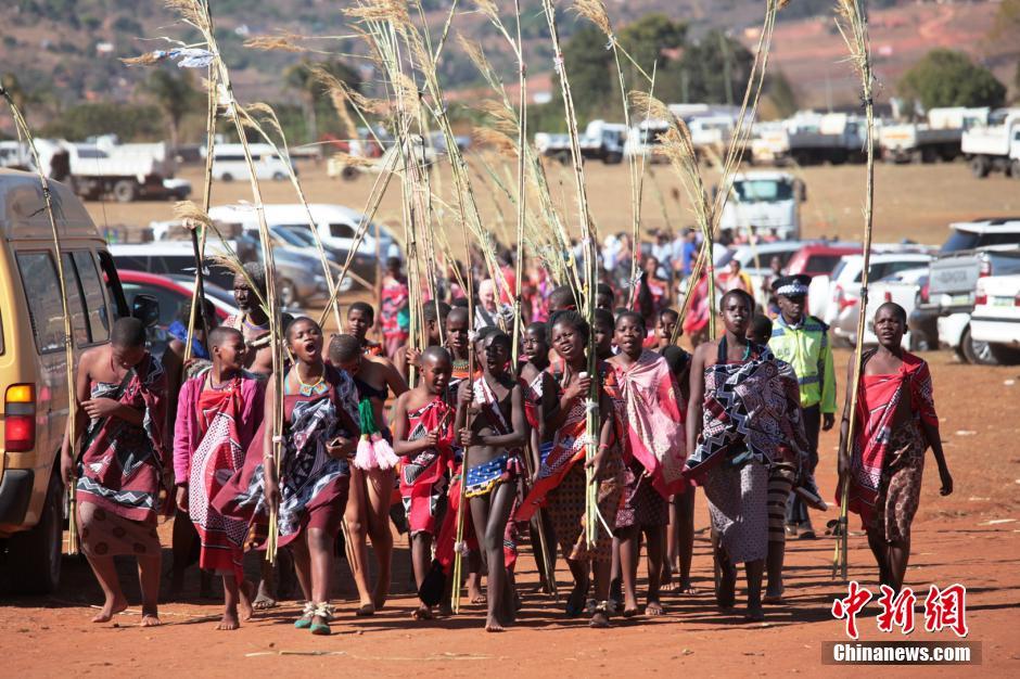 莫德里奇身价-爱游戏(ayx)官网网站_ayx.com