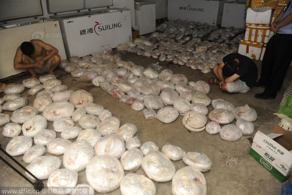 太极虎-爱游戏app（中国）官方网站下载_ayx体育app下载