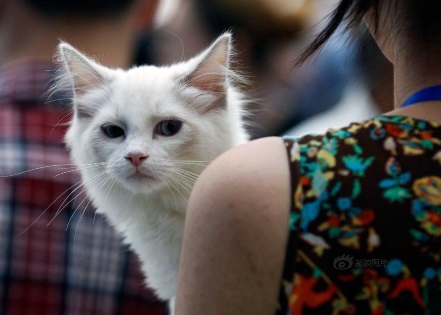 巴塞罗那 切尔西-乐鱼app(leyu)官方网站-乐鱼官网