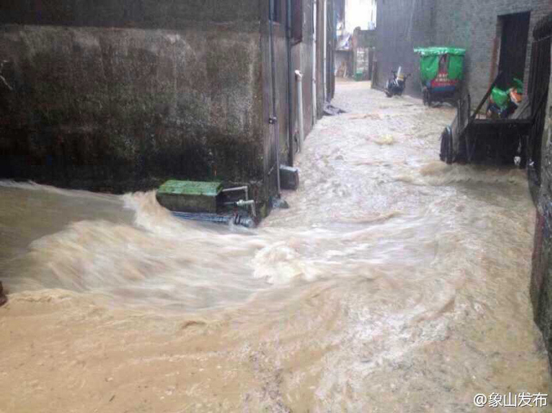 星耀五洲-乐鱼app(leyu)官方网站-乐鱼官网