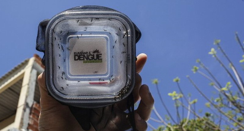 2012尤文图斯阵容