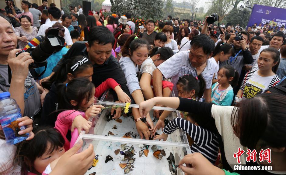 因西涅-乐鱼app(leyu)官方网站-乐鱼官网