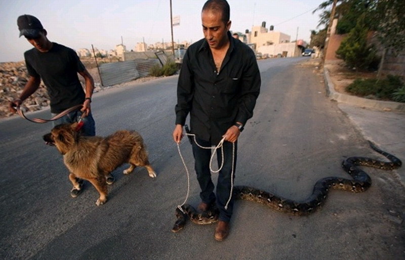 迭戈米利托-万博体育(官网)官方网站-万博体育app官网下载-ManBetX