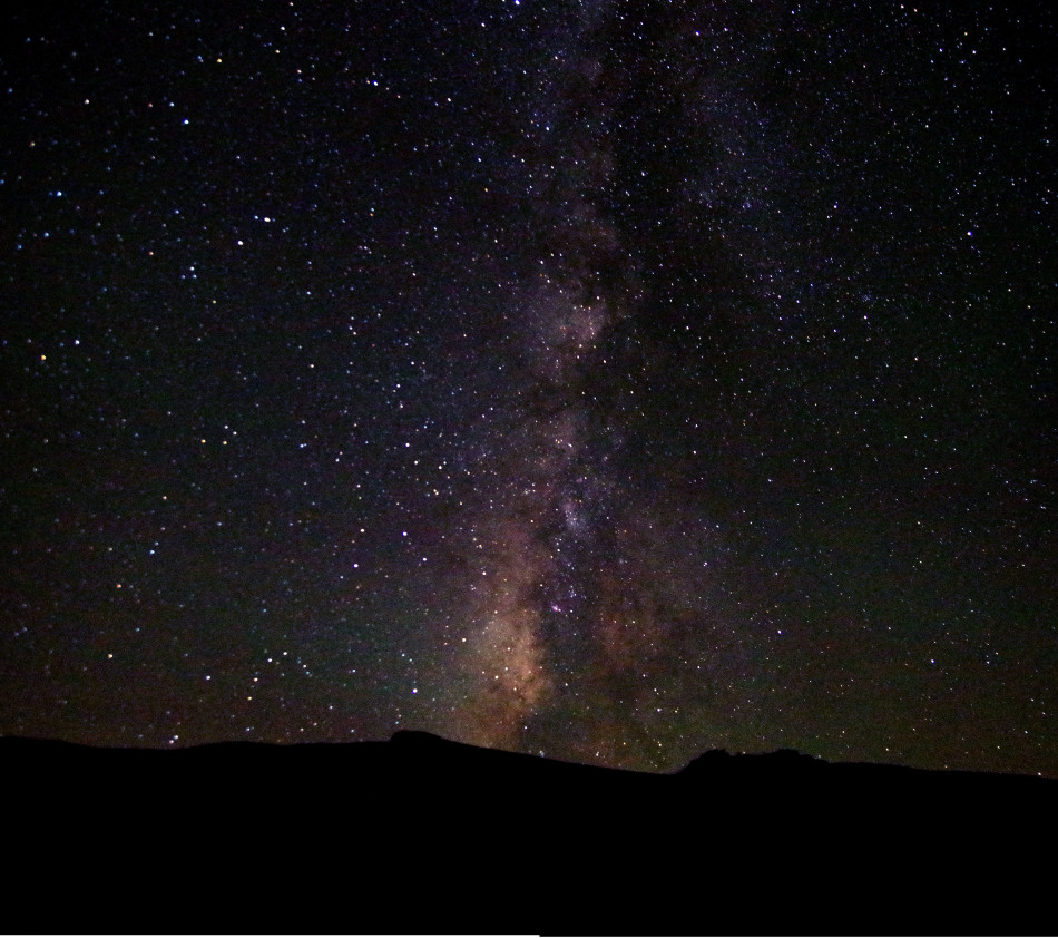 59802_493404_328285.jpg