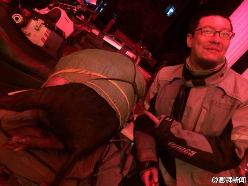 588棋牌捕鱼
